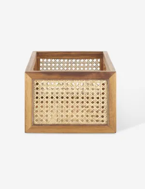 Cane Bin by NEAT Method