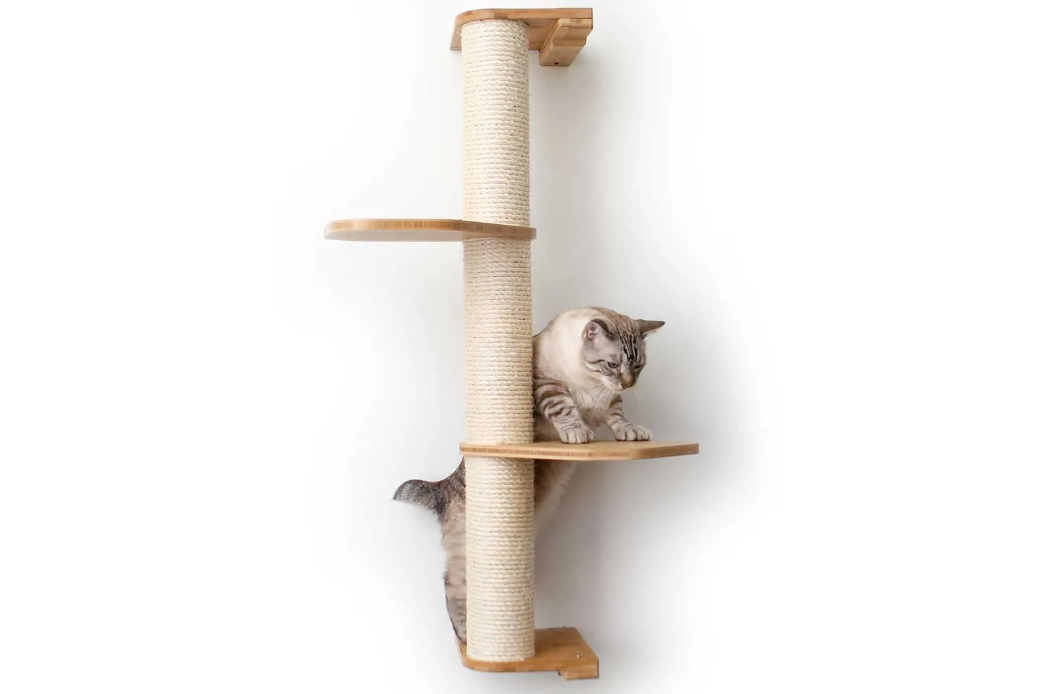 Cat Scratching Pole (Wall-Mounted)