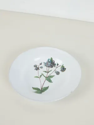 Columbine Flower Soup Plate