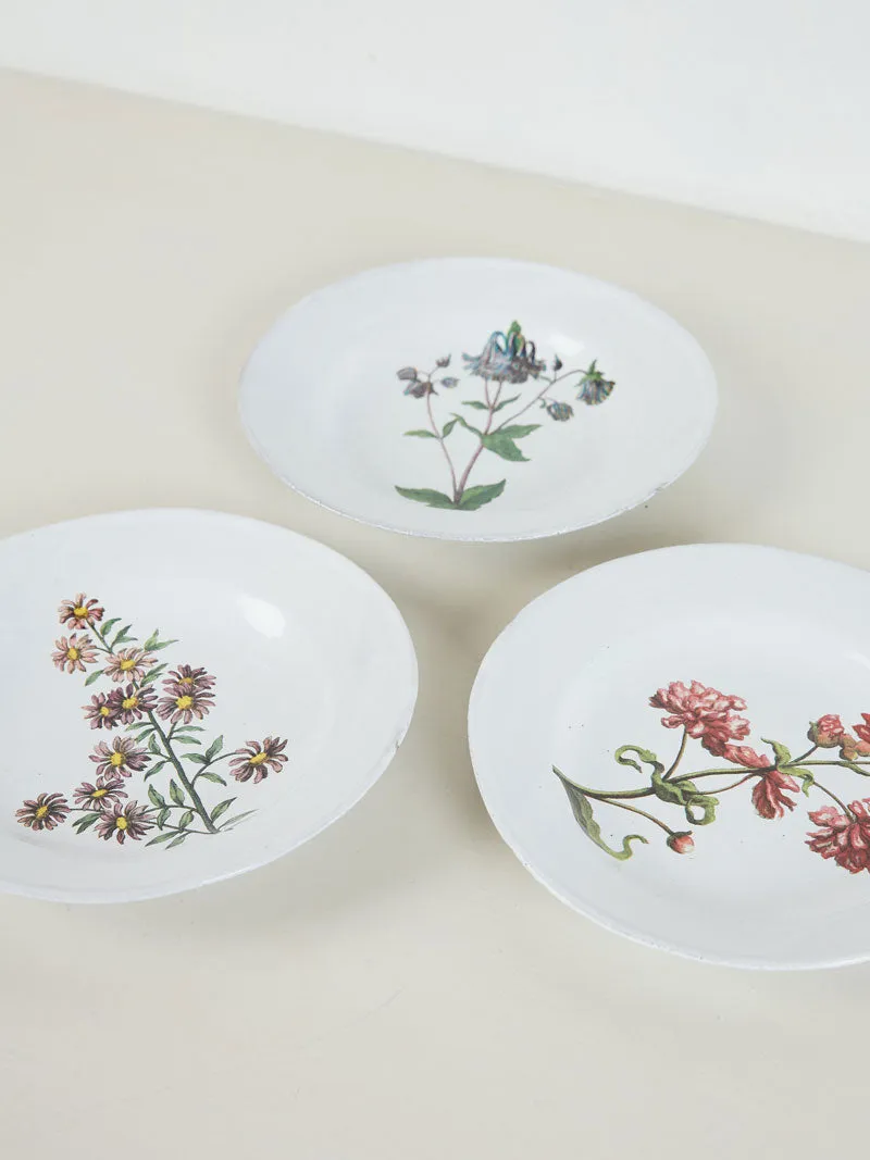 Columbine Flower Soup Plate