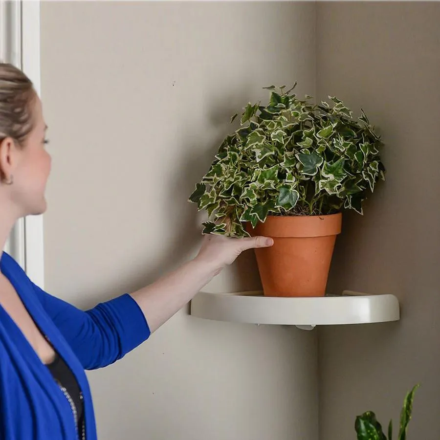 Corner Storage Holder Shelves