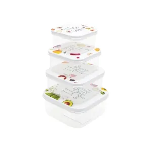 Food Saver Storage Container 4pc Set Plastic 21135