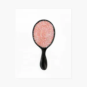 Hairbrush Art Print