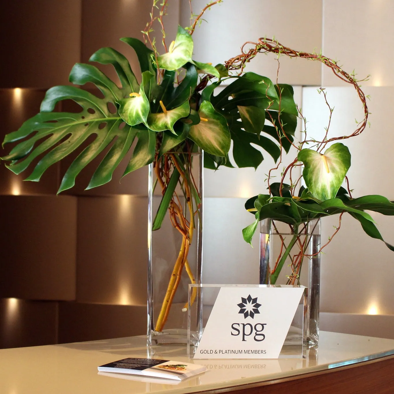 Lobby & Foyer