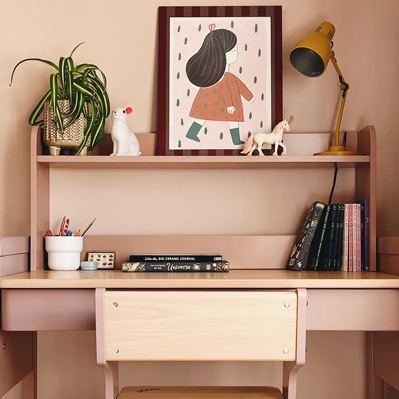 Neat Bookshelf Hutch