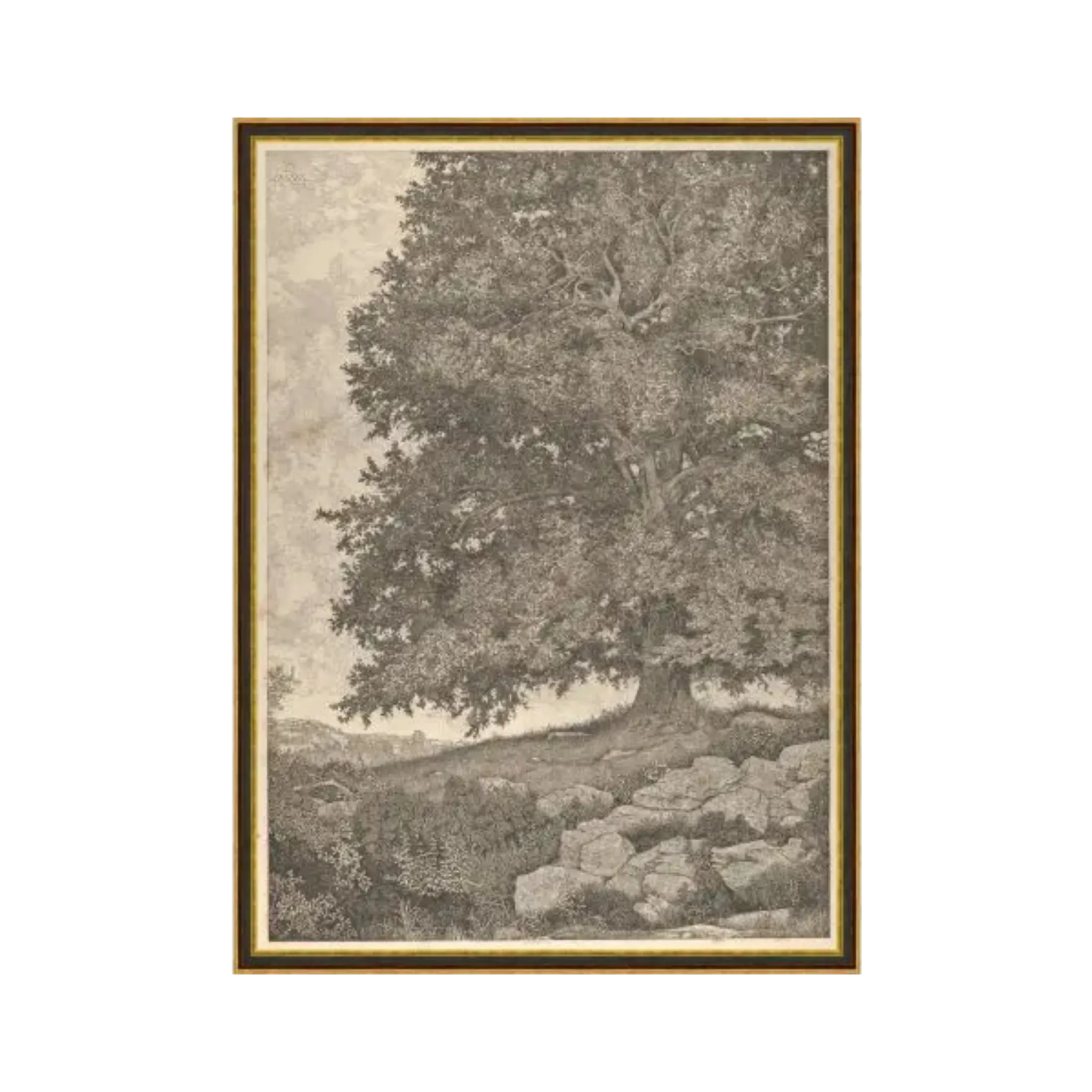 "Grandfather's Tree" Artwork
