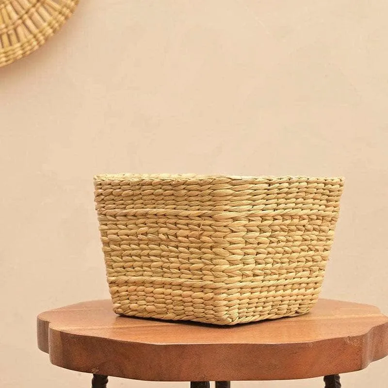Ugaoo Seagrass Seagrass Planter - 21 CM