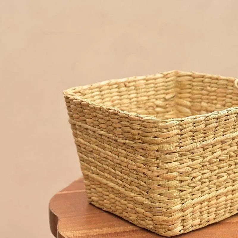 Ugaoo Seagrass Seagrass Planter - 21 CM